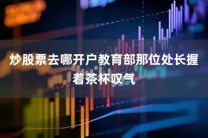 炒股票去哪开户教育部那位处长握着茶杯叹气